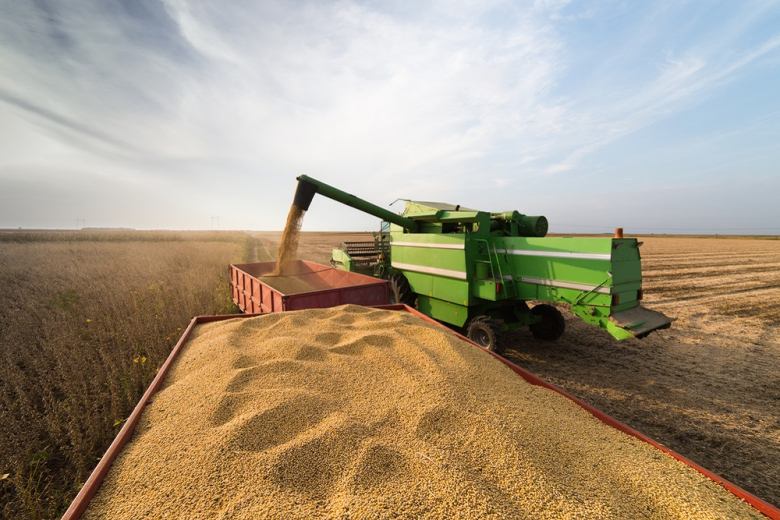 Экспортную пошлину на пшеницу с 29 июня поднимут до $146,1